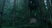кадр из фильма Планета обезьян: Революция (Dawn of the Planet of the Apes) - 3