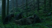 кадр из фильма Планета обезьян: Революция (Dawn of the Planet of the Apes) - 16