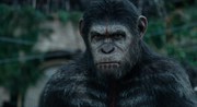 кадр из фильма Планета обезьян: Революция (Dawn of the Planet of the Apes) - 17