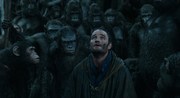 кадр из фильма Планета обезьян: Революция (Dawn of the Planet of the Apes) - 19