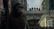 кадр из фильма Планета обезьян: Революция (Dawn of the Planet of the Apes) - 24