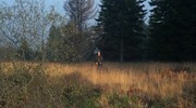 кадр из фильма Красавица (Belle) - 3