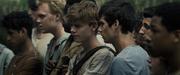 кадр из фильма Бегущий в лабиринте (The Maze Runner) - 8