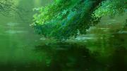 кадр из фильма Сад изящных слов (Koto no ha no niwa) - 11