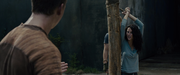 кадр из фильма Бегущий в лабиринте (The Maze Runner) - 36