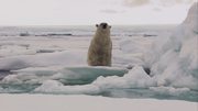 кадр из фильма Замёрзшая планета (Frozen Planet) - 20