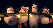 кадр из фильма Пингвины Мадагаскара (Penguins of Madagascar) - 2