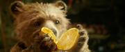 кадр из фильма Приключения Паддингтона (Paddington) - 1