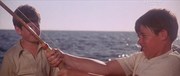 кадр из фильма Острова в океане (Islands in the Stream) - 2
