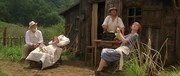 кадр из фильма Дети природы (Les enfants du marais) - 8