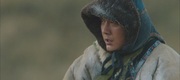 кадр из фильма Тотем волка (Wolf Totem) - 5