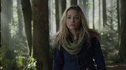 кадр из фильма Гризли (Into the Grizzly Maze) - 5
