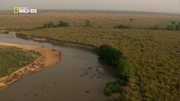 кадр из фильма National Geographic. Дикая река Конго (Wild Congo) - 10