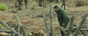 кадр из фильма Искатель воды (The Water Diviner) - 15