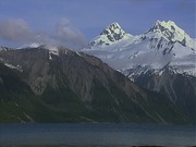 кадр из фильма BBC: Голубая планета (The Blue Planet) - 3