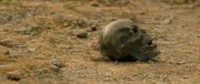 кадр из фильма Подземелье мертвых (Dead Mine) - 2