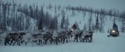 кадр из фильма Белый ягель - 8