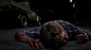 кадр из фильма Затаив дыхание (Crawl) - 5