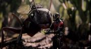 кадр из фильма Человек-муравей (Ant-Man) - 39