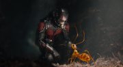 кадр из фильма Человек-муравей (Ant-Man) - 46