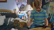 кадр из фильма Тигриный хвост (A Tiger's Tail) - 5