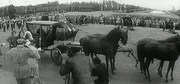 кадр из фильма Посол Советского Союза - 9