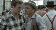 кадр из фильма Последний поворот на Бруклин (Last Exit to Brooklyn) - 10