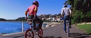кадр из фильма Бандиты на велосипедах (BMX Bandits) - 1