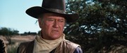 кадр из фильма Жестяная звезда (Cahill U.S. Marshall) - 4