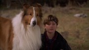 кадр из фильма Лэсси (Lassie) - 3