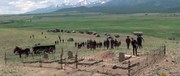 кадр из фильма Приближается всадник (Comes a Horseman) - 1