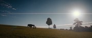 кадр из фильма Американская пастораль (American Pastoral) - 22