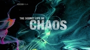 кадр из фильма Тайная жизнь хаоса (The Secret Life of Chaos) - 2