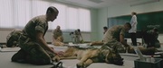 кадр из фильма Меган Ливи (Megan Leavey) - 4