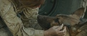 кадр из фильма Меган Ливи (Megan Leavey) - 6