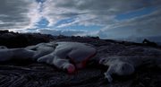 кадр из фильма Путешествие времени (Voyage of Time: Life's Journey) - 7