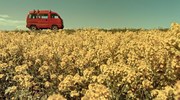 кадр из фильма Как Витька Чеснок вез Леху Штыря в дом инвалидов - 3