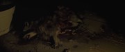 кадр из фильма Обитель теней (Marrowbone) - 4