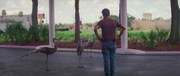 кадр из фильма Проект Флорида (The Florida Project) - 5