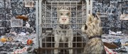 кадр из фильма Остров собак (Isle of Dogs) - 10