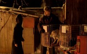 кадр из фильма Эпидемия одержимости (Besat) - 3