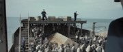 кадр из фильма Мотылек (Papillon) - 2