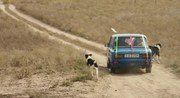 кадр из фильма Не чужие - 4
