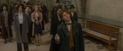 кадр из фильма Фантастические твари и где они обитают (Fantastic Beasts and Where to Find Them) - 9