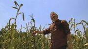 кадр из фильма Посланники 2 (Messengers 2: The Scarecrow) - 2