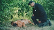 кадр из фильма Верный - 4