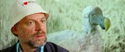 кадр из фильма Удалить историю (Effacer l'historique) - 4