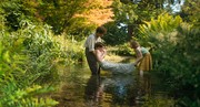 кадр из фильма Таинственный сад (The Secret Garden) - 9