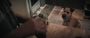 кадр из фильма Финч (Finch) - 2