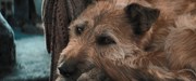 кадр из фильма Финч (Finch) - 18